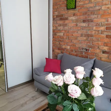 Loft-to-be Daire Krakow