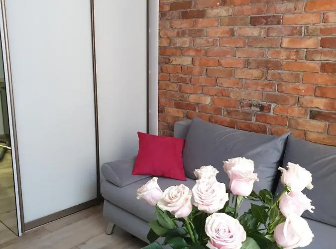 Loft-to-be شقة كراكوفيا